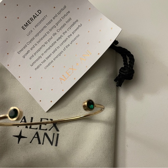 ALEX AND ANI Emerald Flex Cuff Bracelet - Picture 1 of 4
